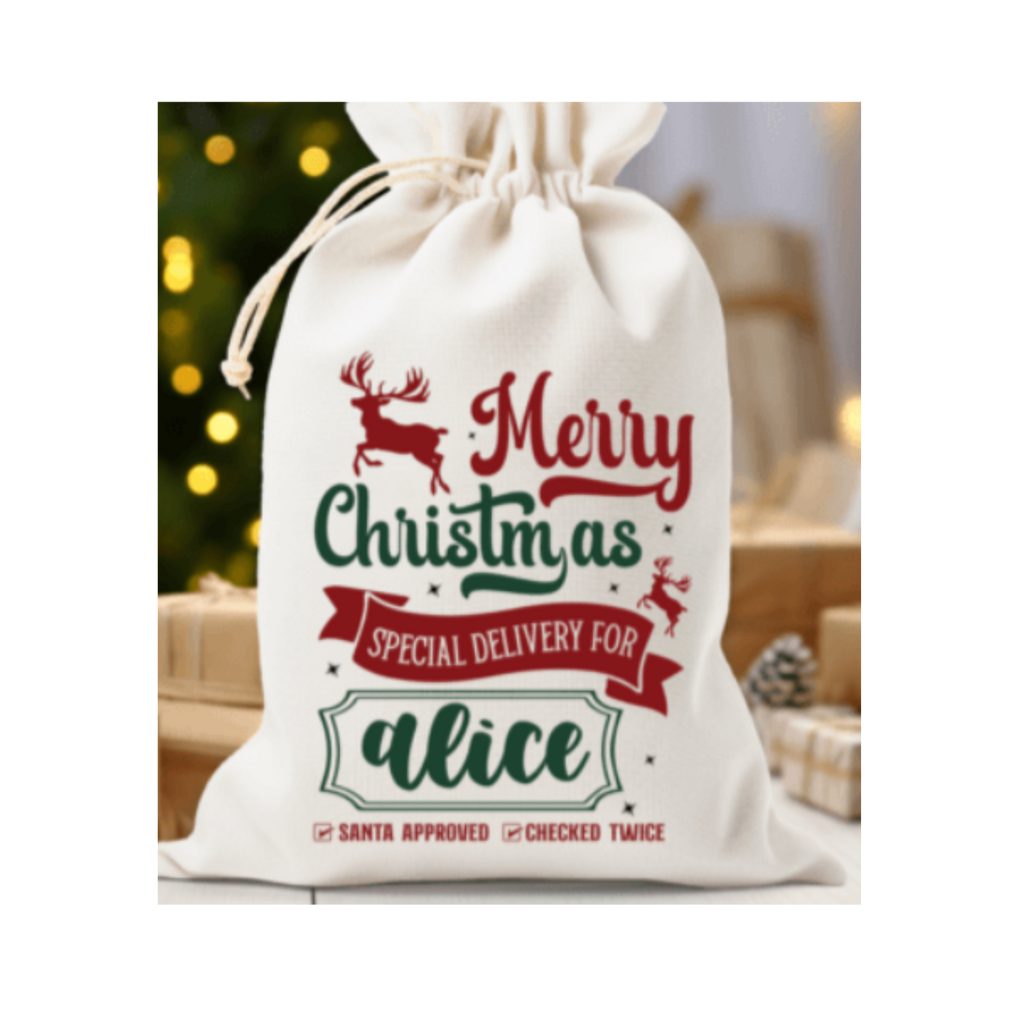 Custom Santa/Holiday Sack